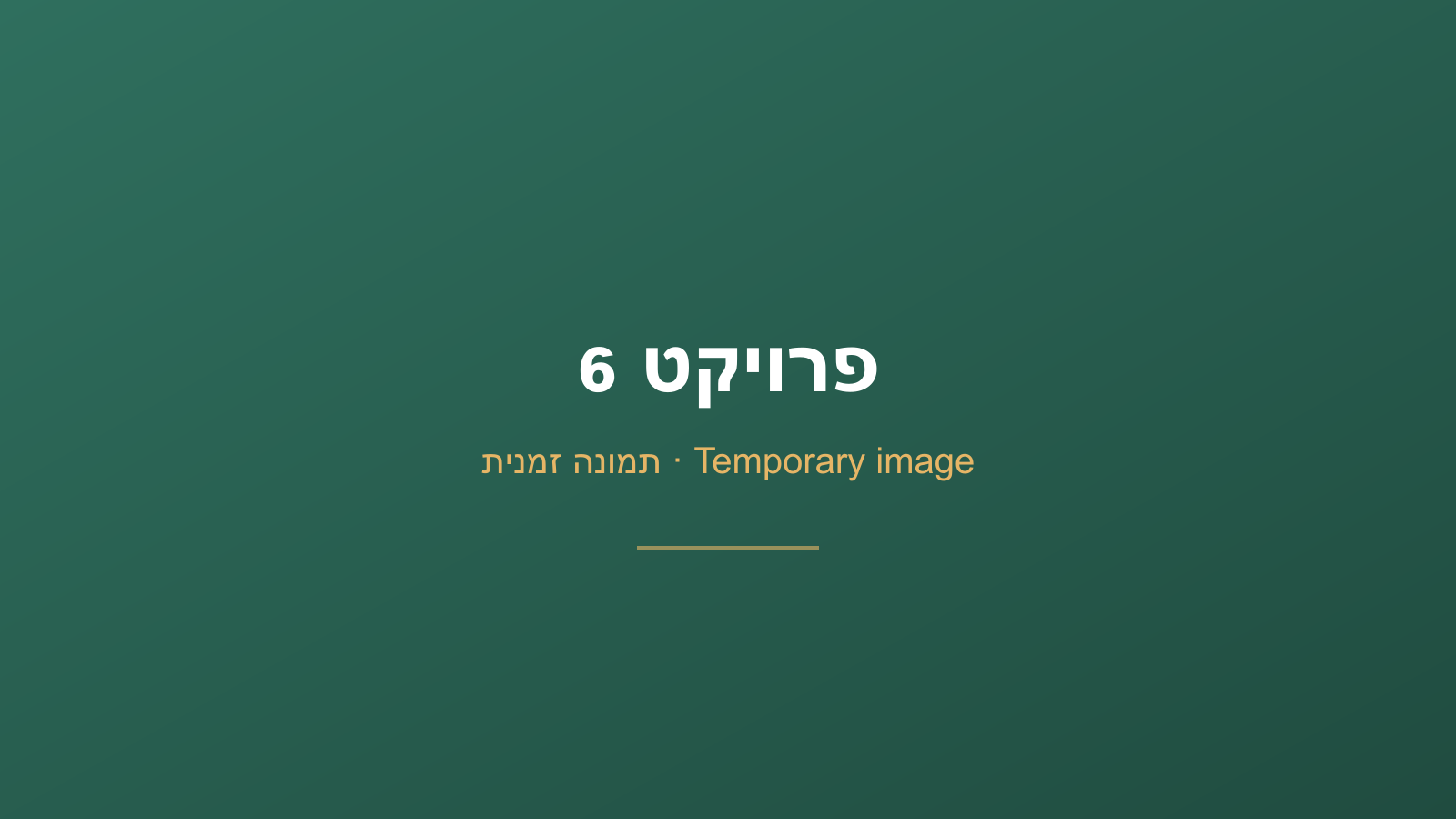 תמונה זמנית — פרויקט דמה 6 [auto:hero-project-6]